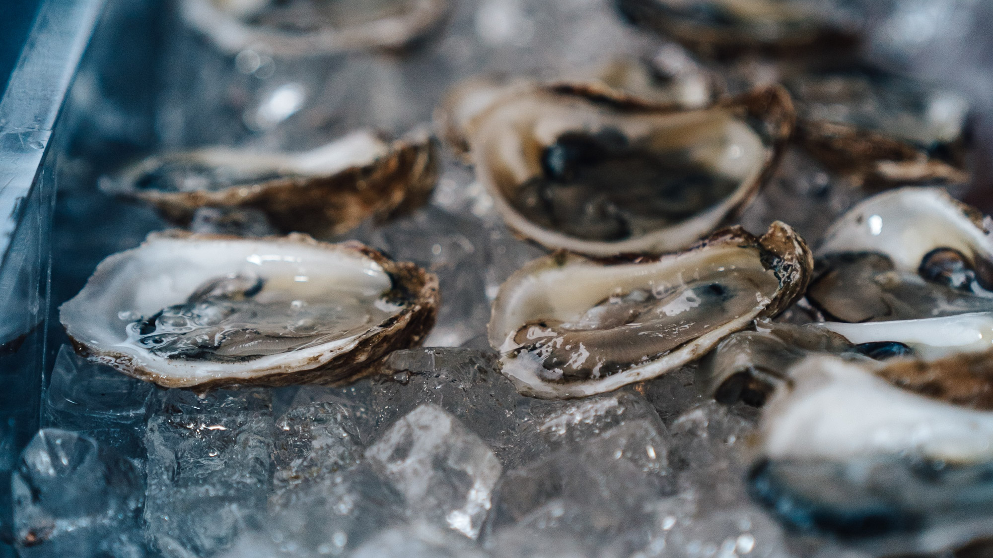 Oysters on the half shell in New Orleans