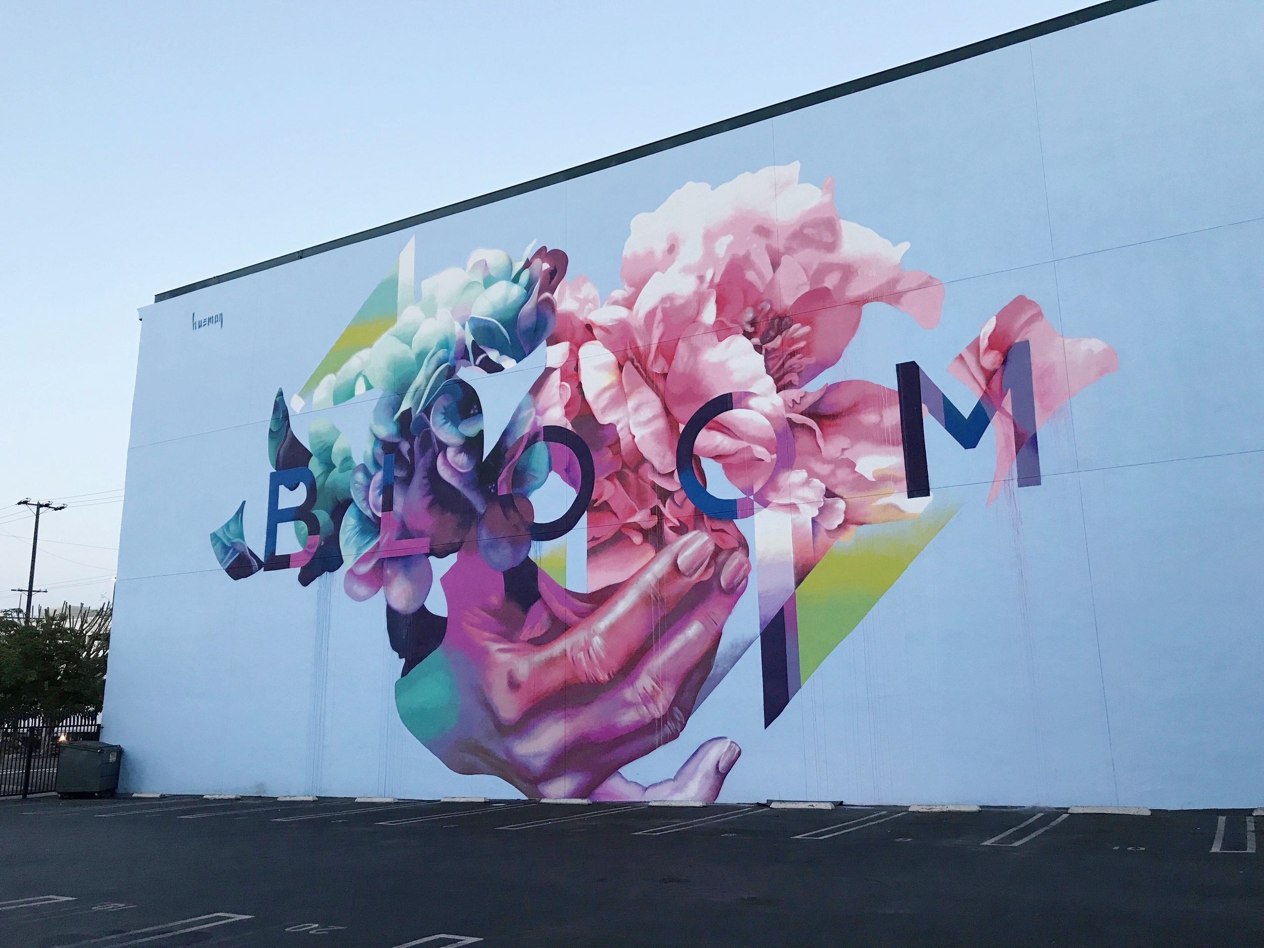 Street Art called Bloom by Hueman in Arts District of Los Angeles