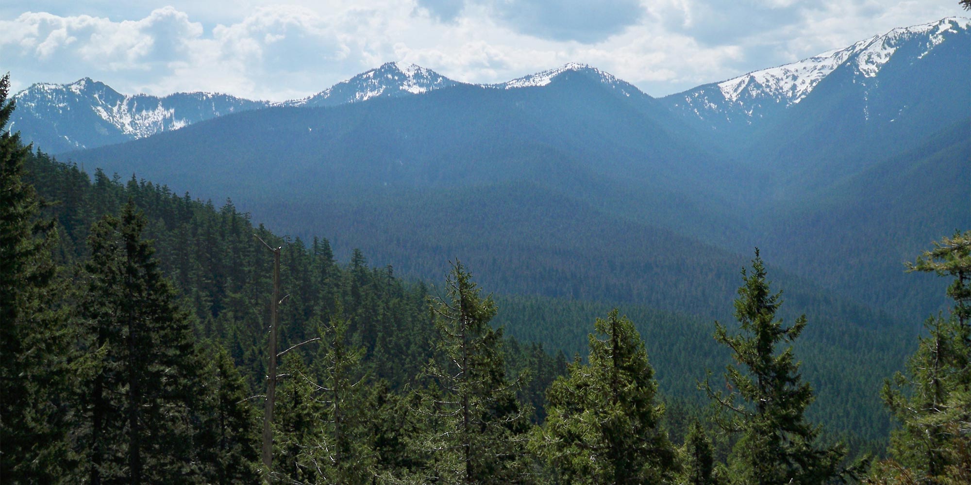 Ajusco