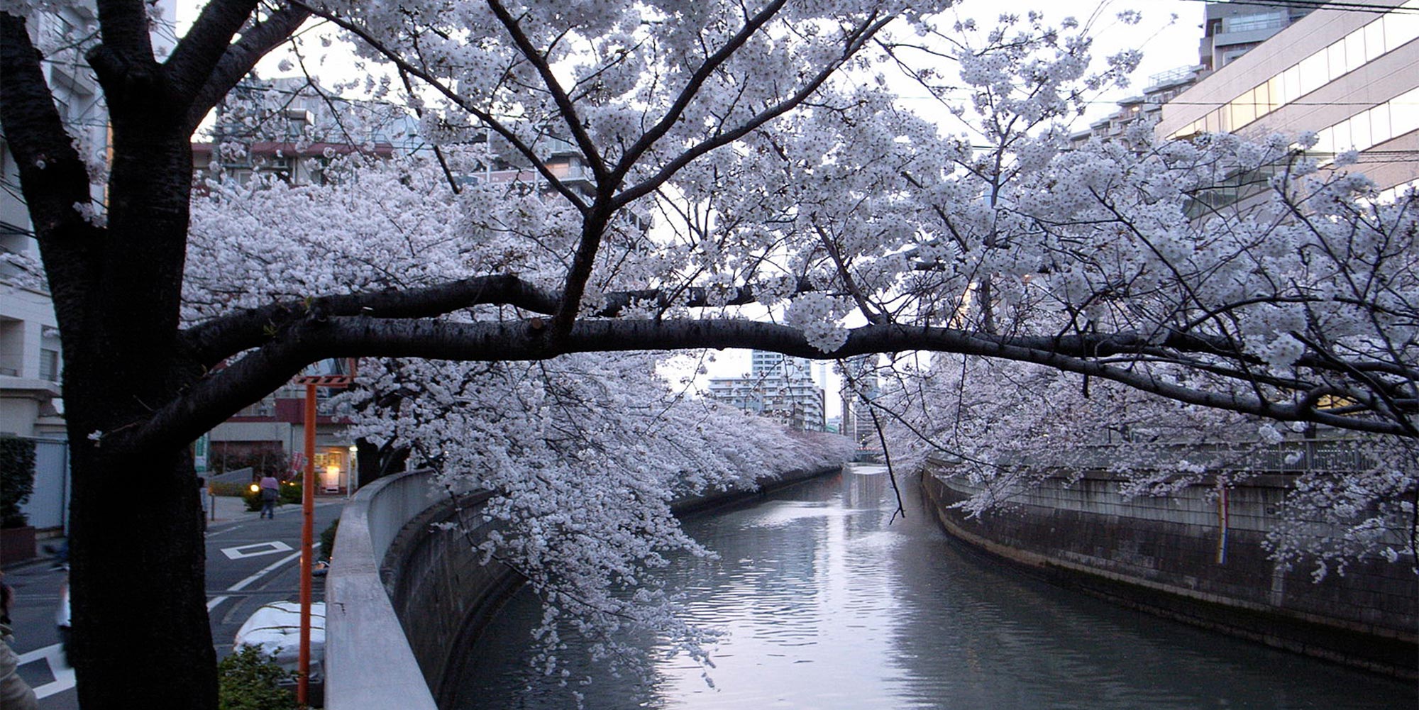 Meguro Canal