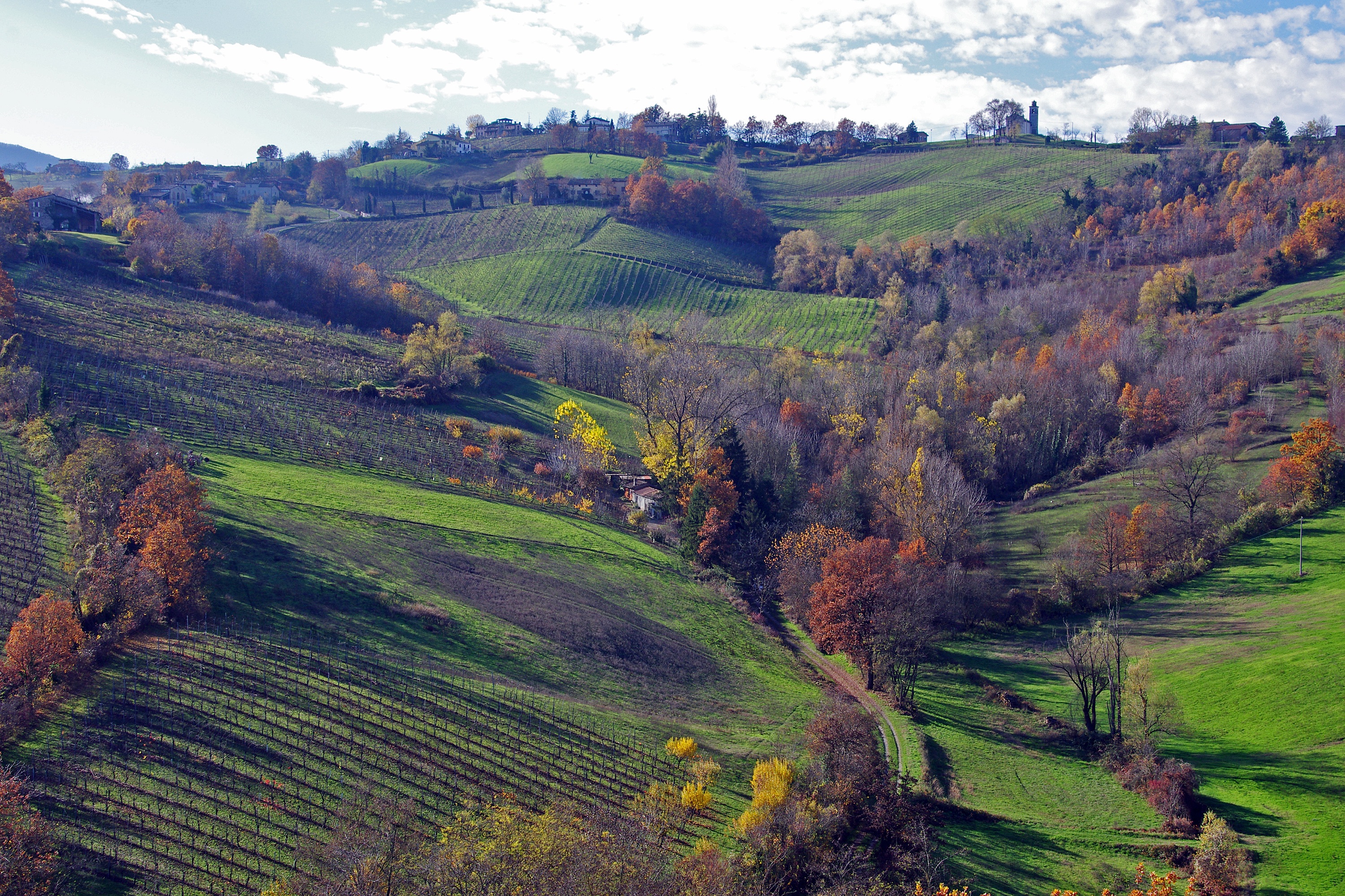 Vineyards in Emilia Romagna. Photo by Valter Cirillo from Pixabay.